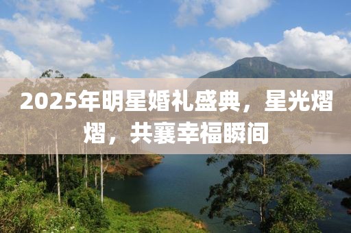 2025年明星婚禮盛典，星光熠熠，共襄幸福瞬間