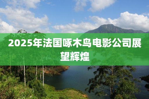 2025年法國(guó)啄木鳥(niǎo)電影公司展望輝煌