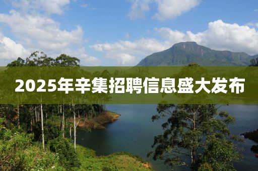 2025年辛集招聘信息盛大發(fā)布