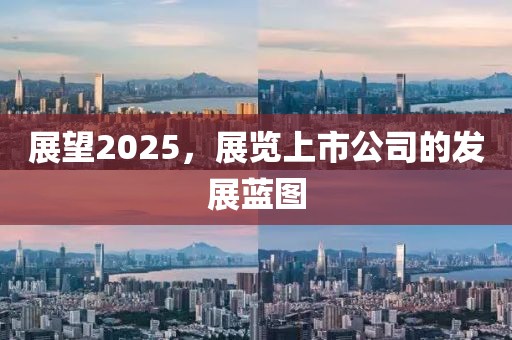 展望2025，展覽上市公司的發(fā)展藍(lán)圖