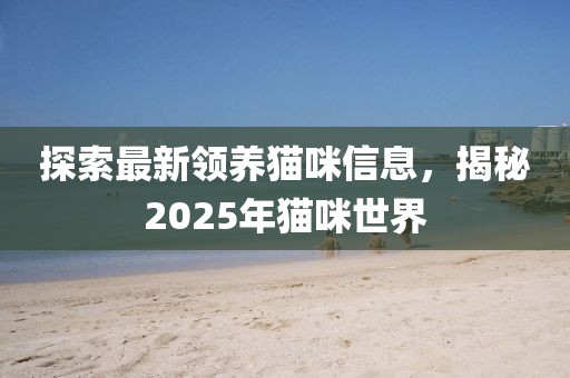 探索最新領(lǐng)養(yǎng)貓咪信息，揭秘2025年貓咪世界