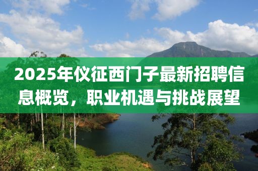 2025年儀征西門子最新招聘信息概覽，職業(yè)機(jī)遇與挑戰(zhàn)展望
