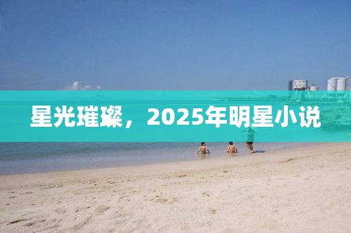 星光璀璨，2025年明星小說