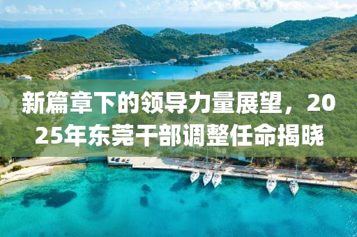 新篇章下的領(lǐng)導(dǎo)力量展望，2025年?yáng)|莞干部調(diào)整任命揭曉