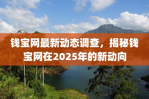 錢寶網(wǎng)最新動(dòng)態(tài)調(diào)查，揭秘錢寶網(wǎng)在2025年的新動(dòng)向