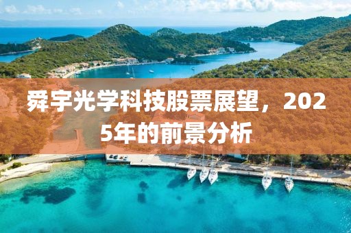 舜宇光學(xué)科技股票展望，2025年的前景分析