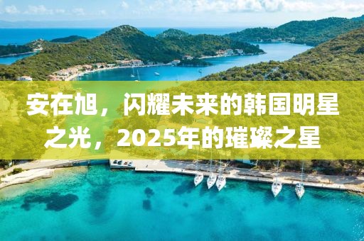 安在旭，閃耀未來(lái)的韓國(guó)明星之光，2025年的璀璨之星