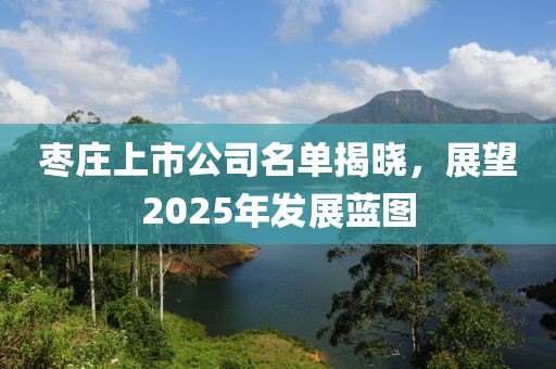 棗莊上市公司名單揭曉，展望2025年發(fā)展藍(lán)圖