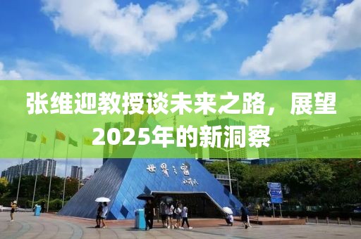 張維迎教授談未來(lái)之路，展望2025年的新洞察