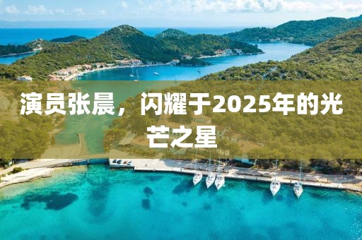 演員張晨，閃耀于2025年的光芒之星