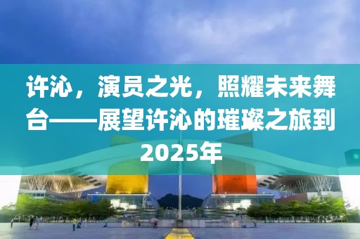 許沁，演員之光，照耀未來舞臺——展望許沁的璀璨之旅到2025年