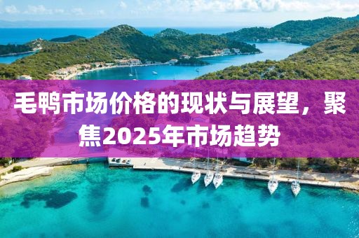 毛鴨市場價格的現(xiàn)狀與展望，聚焦2025年市場趨勢