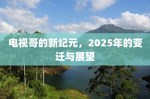 電視哥的新紀(jì)元，2025年的變遷與展望