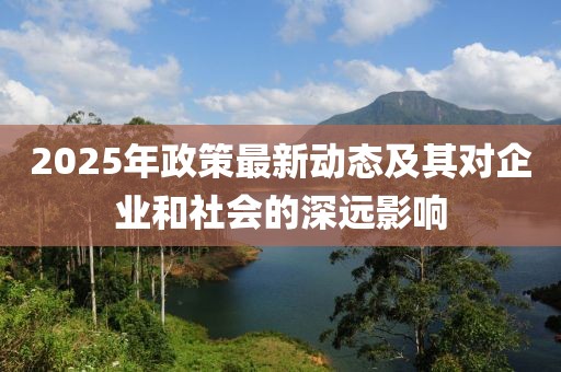 2025年政策最新動(dòng)態(tài)及其對(duì)企業(yè)和社會(huì)的深遠(yuǎn)影響