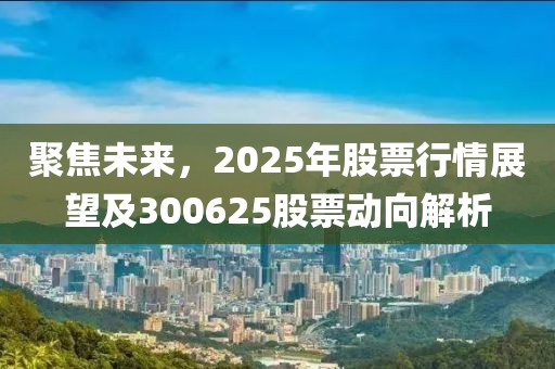 聚焦未來，2025年股票行情展望及300625股票動向解析