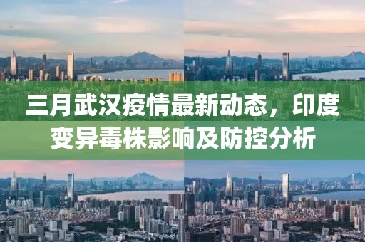 三月武漢疫情最新動態(tài)，印度變異毒株影響及防控分析