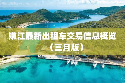嫩江最新出租車交易信息概覽（三月版）