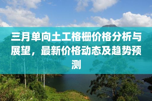 三月單向土工格柵價格分析與展望，最新價格動態(tài)及趨勢預(yù)測
