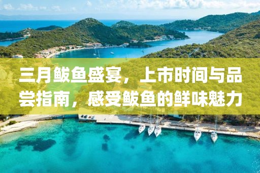 三月鲅魚(yú)盛宴，上市時(shí)間與品嘗指南，感受鲅魚(yú)的鮮味魅力