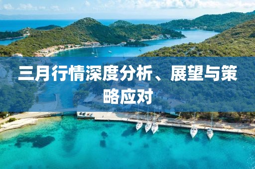 三月行情深度分析、展望與策略應(yīng)對