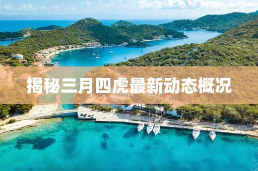 揭秘三月四虎最新動(dòng)態(tài)概況