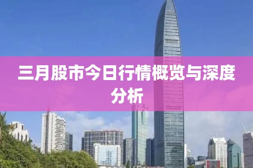 三月股市今日行情概覽與深度分析