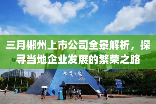 三月郴州上市公司全景解析，探尋當(dāng)?shù)仄髽I(yè)發(fā)展的繁榮之路
