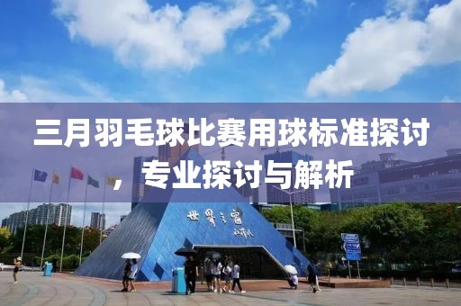 三月羽毛球比賽用球標準探討，專業(yè)探討與解析