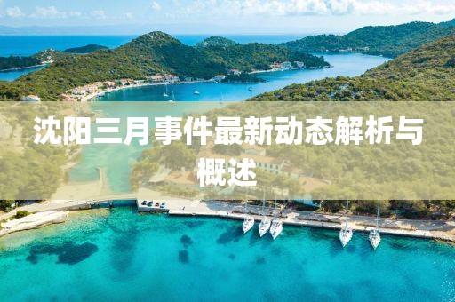 沈陽三月事件最新動態(tài)解析與概述