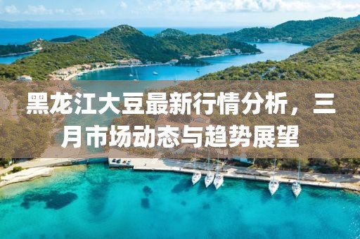 黑龍江大豆最新行情分析，三月市場動態(tài)與趨勢展望
