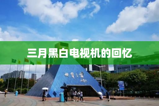 三月黑白電視機的回憶