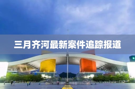 三月齊河最新案件追蹤報道
