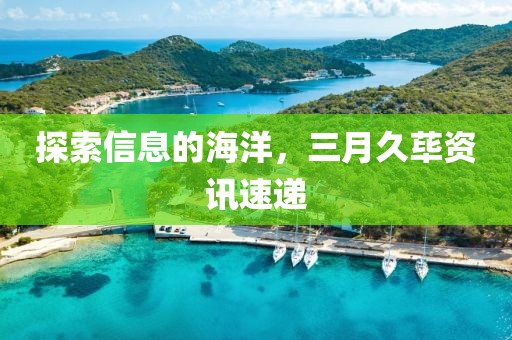 探索信息的海洋，三月久蓽資訊速遞