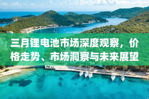 三月鋰電池市場(chǎng)深度觀察，價(jià)格走勢(shì)、市場(chǎng)洞察與未來(lái)展望