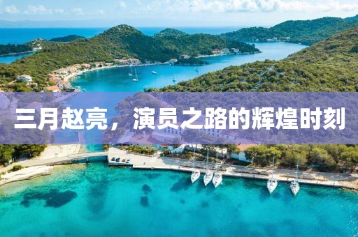 三月趙亮，演員之路的輝煌時刻