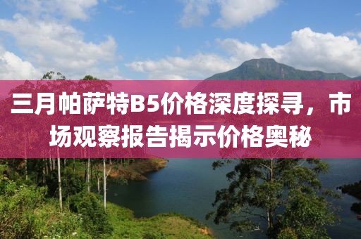 三月帕薩特B5價格深度探尋，市場觀察報告揭示價格奧秘