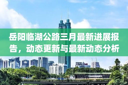 岳陽臨湖公路三月最新進(jìn)展報告，動態(tài)更新與最新動態(tài)分析