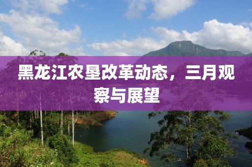 黑龍江農(nóng)墾改革動(dòng)態(tài)，三月觀察與展望