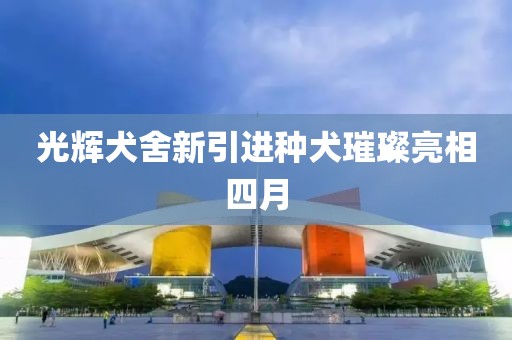 光輝犬舍新引進(jìn)種犬璀璨亮相四月