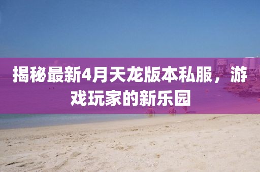 揭秘最新4月天龍版本私服，游戲玩家的新樂園