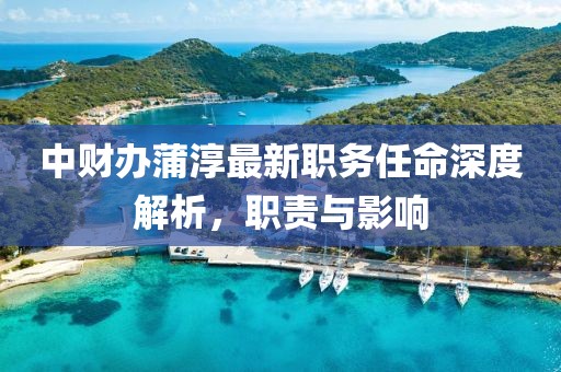 中財(cái)辦蒲淳最新職務(wù)任命深度解析，職責(zé)與影響