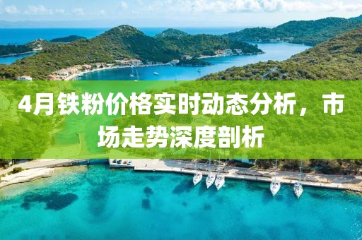 4月鐵粉價格實時動態(tài)分析，市場走勢深度剖析