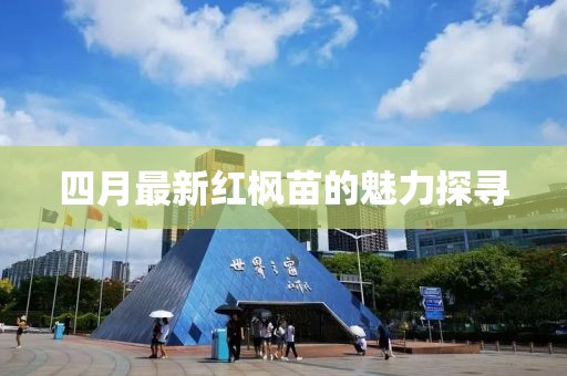 四月最新紅楓苗的魅力探尋