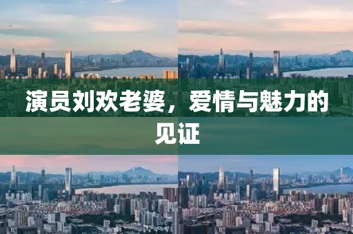 演員劉歡老婆，愛情與魅力的見證