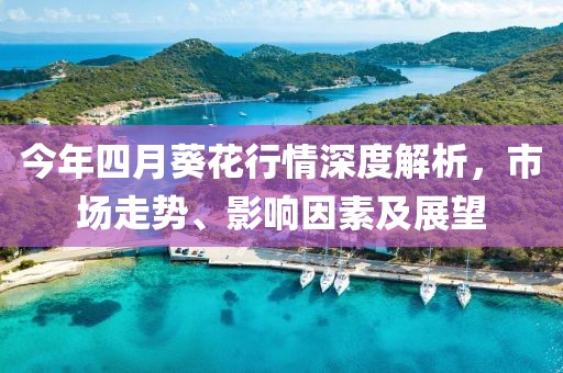今年四月葵花行情深度解析，市場(chǎng)走勢(shì)、影響因素及展望
