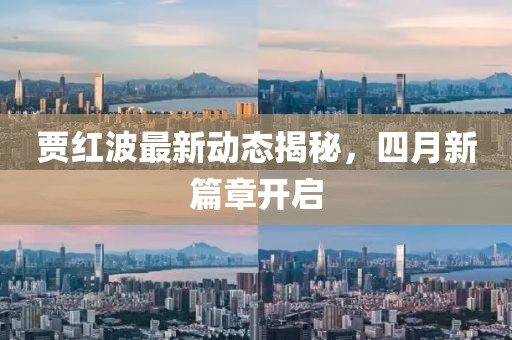 賈紅波最新動態(tài)揭秘，四月新篇章開啟