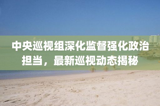 中央巡視組深化監(jiān)督強(qiáng)化政治擔(dān)當(dāng)，最新巡視動(dòng)態(tài)揭秘