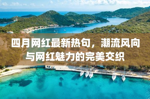 四月網(wǎng)紅最新熱句，潮流風(fēng)向與網(wǎng)紅魅力的完美交織