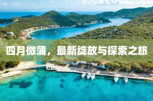 四月微蒲，最新綻放與探索之旅