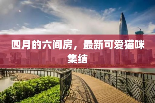 四月的六間房，最新可愛貓咪集結(jié)